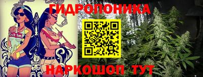 Альфа ПВП Можга