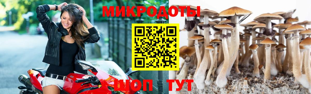 Псилоцибиновые грибы GOLDEN TEACHER Трёхгорный